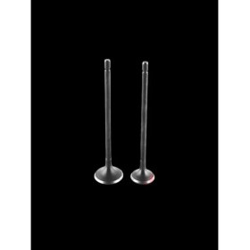 Resim Ramzey Karaca 100 Sibop Dq 