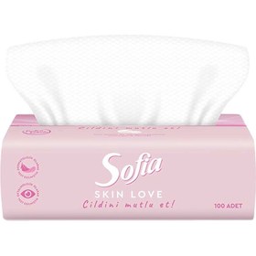 Resim Sofia Skin Love Pudralı Kağıt Mendil 100'lü 