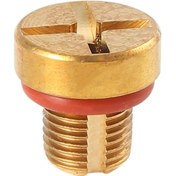 Resim Anjiexun Radyatör Taşma Soğutma Sıvısı Genleşme Tankı Tahliye Vidası Altın 