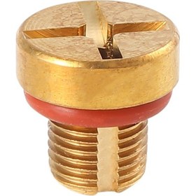 Resim Anjiexun Radyatör Taşma Soğutma Sıvısı Genleşme Tankı Tahliye Vidası Altın 