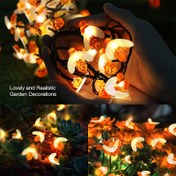 Resim Güneş Enerjili 20 LED Arı Dize Işıkları - Düğünler, Partiler, Noel Ağaçları ve Ev Verandası için Sevimli Bal Arısı Bahçe Dekoru - Gerçekçi Tasarımıyla Sıcak Parlayan Plastik Peri Işıkları, Bahçe Dekor Aydınlatması | Fantastik Bahçe Işıkları | Güneş Enerjili Işıklar, Dış Mekan Güneş Dekorasyonları 