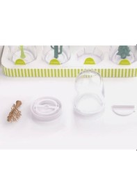 Resim Seasoning Shakers Dört Mevsim Baharatlık Renkli 