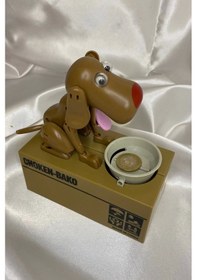 Resim Kumbara Para Yiyen Köpek 