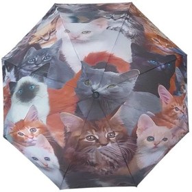 Resim Sevimli Kedi Yavruları Desenli Rüzgara Dayanıklı Manuel Bayan Şemsiyesi Çok Renkli 