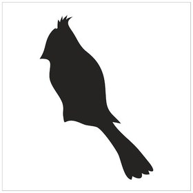 Resim Kuş Folyo Sticker Derstv919 60cm Uzunluk Siyah 