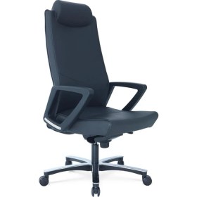 Resim Bürosit Legend 9 Başlıklı Yönetici Koltuğu - Siyah 