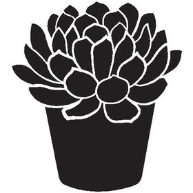 Resim Saksı Çiçeği Kaktüs Tip 1 50x55 Cm Lcst Lcst 