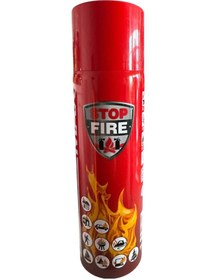 Resim Ayes Yangın Reinold Max 044020 Portatif Yangın Söndürme Tüpü 500 ML 