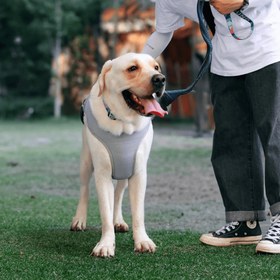 Resim Paw Portal Köpekler İçin Soğutucu Yelek 