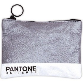 Resim Lisanslı Pantone C1 Yıkanabilir Bozuk Para Cüzdanı (543121935) Gri 