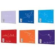Resim Çınar 24 x 34 cm 25 Yaprak Spiralli Resim Defteri - Asorti 