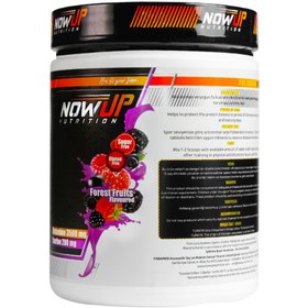 Resim NOWUP NUTRİTİON Glutamine Recovery Effect Amino Asit Orman Meyveleri Aromalı 360g 