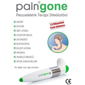 Resim Paıngone Kalem 