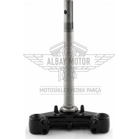 Resim Honda Spacy 110 Alt Mesnet Platin 