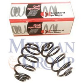 Resim Genel Markalar Bmw 3 Serı- E30- 84/91 Arka Helezon Yayı Sağ/sol Aynı (2li Set)320i/323i/325i (13,50x138x249) (stdr 