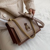 Resim Vintage Bee Decor Crossbody Çanta, Kadın Zincir Omuz Çantası, Noktalar Dekor Kapak Kare Cüzdan 