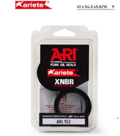Resim Arıete Cb 125r 250r 500f 650r F650 F Hornet600 Ön Amortisör Toz K 