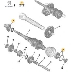 Resim Prizdirek Rulman Kiti Boxer 508 5008 Expert Iii DW10FD 