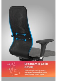 Resim Ergolife Synchrosit 8 Ergonomik Ofis Sandalyesi Ayarlanabilir Kolçaklı, Fileli, Öğrenci Sandalyesi -297.d.1.2f3 Çok Renkli 