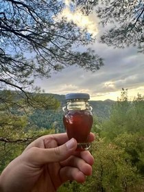 Resim Yayla Kestane Balı - 850 Gram 