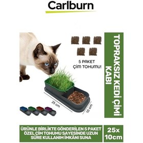 Resim Özel Üretim 5 Adet Kedi Çimi Tohumu Topraksız Kedi Çimi Kabı 25x10cm 