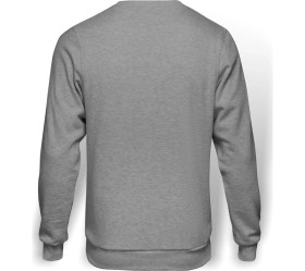 Resim Tshirthane Flower Aqua Bebek Duşu Mavi Gerbera Baskılı Gri Erkek Örme Sweatshirt Uzun Kol 