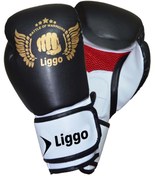 Resim Liggo Boks Eldiveni Kick Boks Muay Thai Eldiveni Liggo Force 