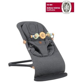 Resim Will Bouncer Side Ana Kucağı - Anthracite & Ana Kucağı Oyuncağı - Galaxy 