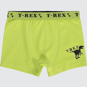 Resim Civil Boys Erkek Çocuk 3'lü Boxer Set 2-10 Yaş Yeşil 