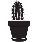 Resim Saksı Çiçeği Kaktüs Tip 5 10X17 cm 