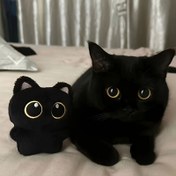 Resim Tüm Irklar İçin Peluş Kedi Şeklinde Etkileşimli Oyuncak - Dayanıklı Çiğneme ve Oyun Arkadaşı Kediler İçin 