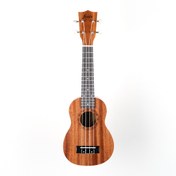 Resim Fenix PS-S100 Soprano Ukulele (Kılıf Hediyeli) 