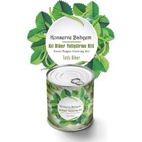 Resim Akıllı Durak Ad Konserve Bahçem Evde Konservede Tatlı Sivri Biber Yetiştirme Kiti 