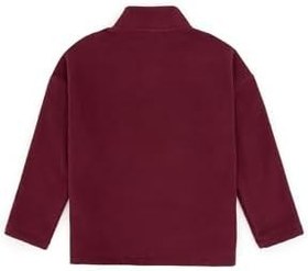 Resim U.S. Polo Assn. Erkek Çocuk Plum Sweatshirt 50316702-VR177 