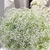 Resim 600 Adet Gerçekçi Beyaz Plastik Gypsophila Çiçek Buketi – Düğünler, Nişanlar, Sevgililer Günü ve Yaz Dekoru için Mevsimsel Ev Aksesuarı | Uzun Ömürlü Büyüyen Demet, Gençlerin Duş Süslemeleri 