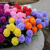 Resim 1 Adet Gerçekçi 7 Başlıklı Hortensia Yapay Çiçek - Düğünler, Nişanlar & Ev Dekoru İçin Mükemmel | Oturma Odası, Masaüstü İçin Çok Yönlü Sahte Çiçek Düzenlemesi | Tüm Mevsimler & Bayramlar İçin İdeal 
