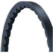 Resim V Kayısı 10 858 32421720644 