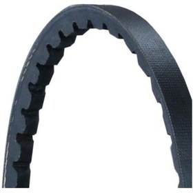 Resim V Kayısı 10 858 32421720644 