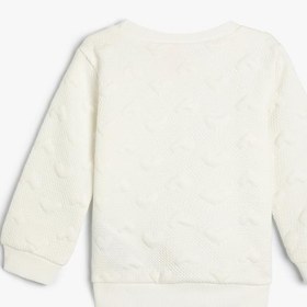 Resim Kız Bebek Basic Dokulu Sweatshirt Bisiklet Yaka Uzun Kollu 