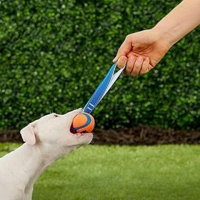 Resim Chuckit Köpek Çekiştirme Topu Chuckıt! Ultra Tug - Large 