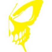 Resim Reysa Tasarım Kelebek Kanadı Kuru Kafa Sarı 17X17 cm 