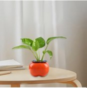 Resim Lijinxu Kapalı Dekorasyon Balkon Büyük Için Saksı Kırsal Diğer 