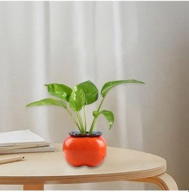 Resim Lijinxu Kapalı Dekorasyon Balkon Büyük Için Saksı Kırsal Diğer 