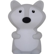 Resim Sevimli Bebek Gece Lambası - Şarj Edilebilir Led Gece Lambası - Premium Silikon Malzeme - Çocuk Odası İçin Güvenli Lamba - Hayvan Tasarımı 16renk Şarj Edilebilir 