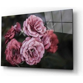 Resim Doğa Cam Tablo 4mm Dayanıklı Temperli Cam760 