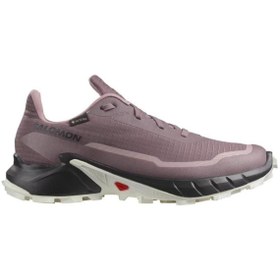 Resim Salomon Alphacross 5 Gore-Tex Kadın Patika Koşu Ayakkabısı-L47311000 