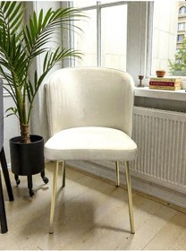 Resim Msy Home 4kişilik Serya Ceviz Oval Masa Gold Ayak Yönsüz Kumaş Modern Ve Şık Yemek Odası Takımı Bej 