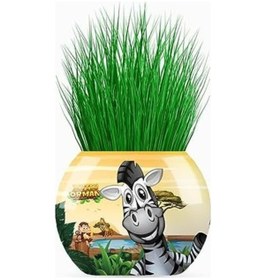 Resim Mutlu Orman Temalı Xl Çim Adam 6'lı Set Çocuklar İçin Eğitici Ve Eğlenceli Bitki Yetiştirme Kiti 