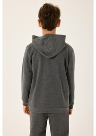 Resim Rolypoly Erkek Çocuk Gri Sweatshirt Gri 