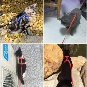 Resim Marsilyan- Kedi Tasması 